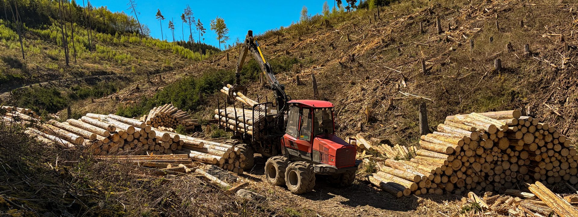 Forwarder bei der Holzrückung